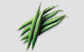 Surma snake gourd (chichinga) grown from Lalteer seeds