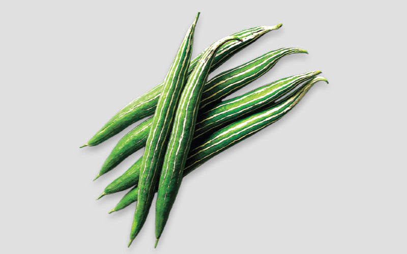Surma snake gourd (chichinga) grown from Lalteer seeds