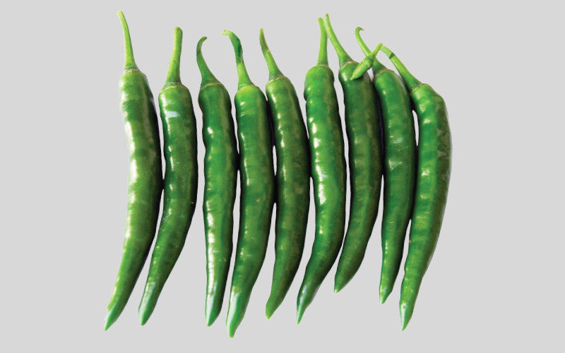 Premium chili (kacha morich) grown from Lalteer seeds