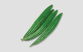 Turag snake gourd (chichinga) grown from Lalteer seeds