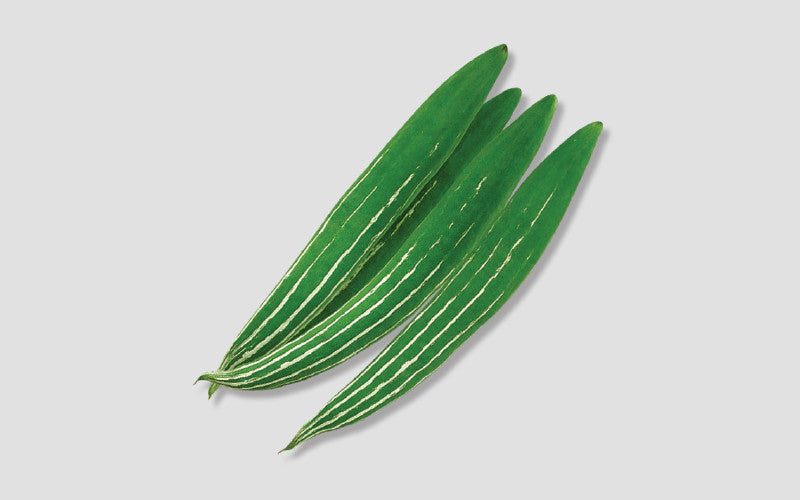 Turag snake gourd (chichinga) grown from Lalteer seeds