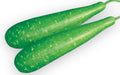 Barsha bottle gourd (lau) grown from Lalteer seeds