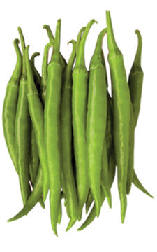 Tiger chili (kacha morich) grown from Lalteer seeds