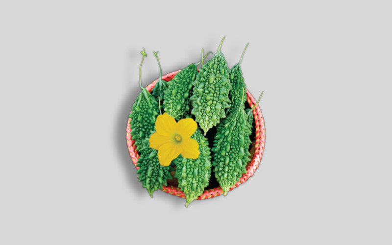 Mithu bitter gourd (korola) grown from Lalteer seeds