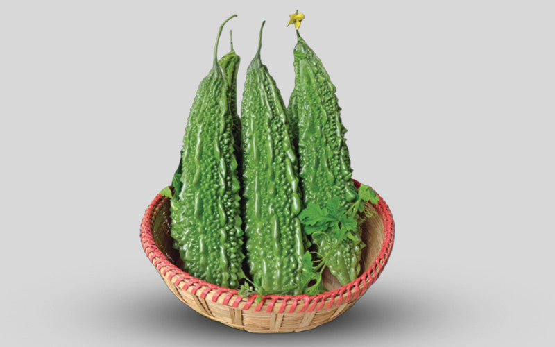 Tia Super bitter gourd (korola) grown from Lalteer seeds