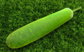 Martina Super F1 bottle gourd (lau) grown from Lalteer seeds