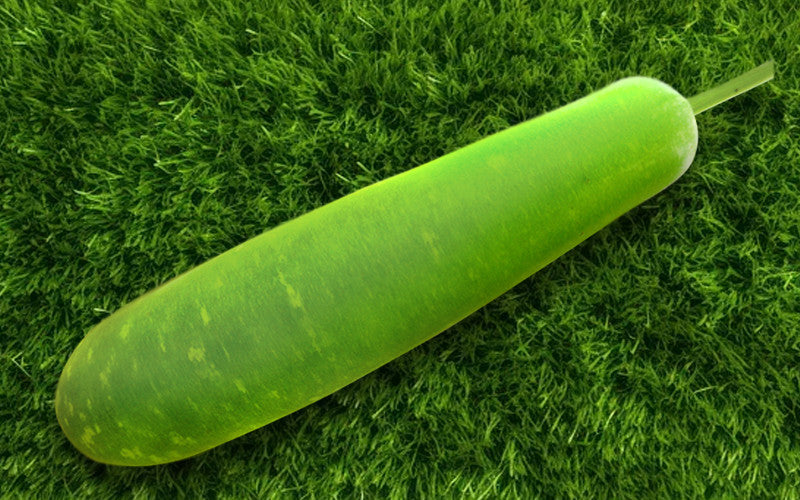 Martina Super F1 bottle gourd (lau) grown from Lalteer seeds