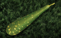 Khet Lau bottle gourd (lau) grown from Lalteer seeds