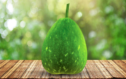 Arosh F1 bottle gourd (lau) grown from Lalteer seeds